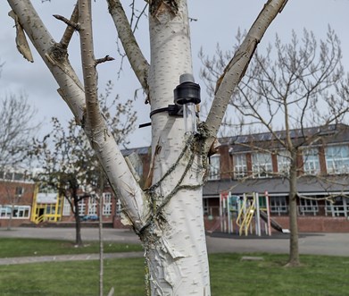 Air quality sensor